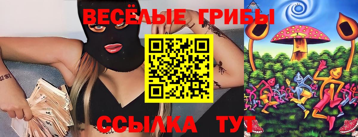 Галлюциногенные грибы Psilocybe Заречный