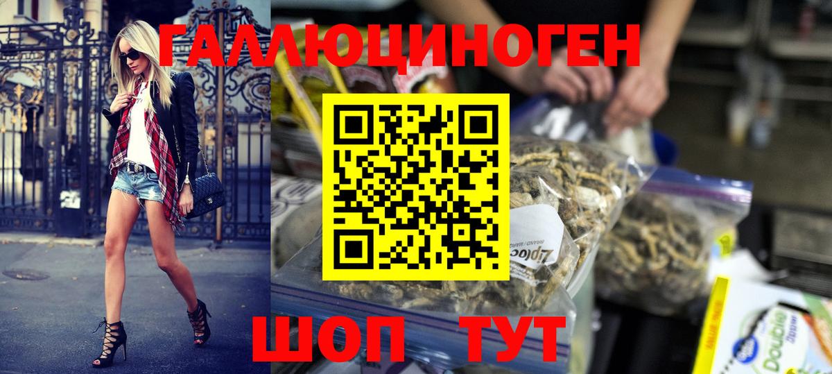 Заречный  Галлюциногенные грибы Psilocybe  Вход с VPN  Псилоцибиновые грибы ЛСД 